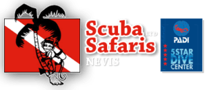 Scuba Safaris