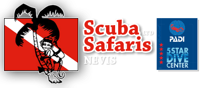 Scuba Safaris